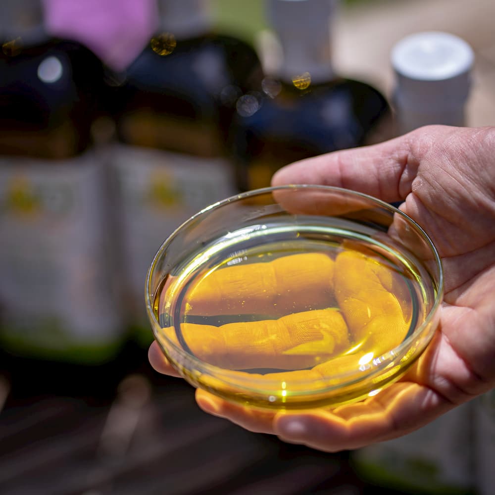 Olivenöl in Glasschale