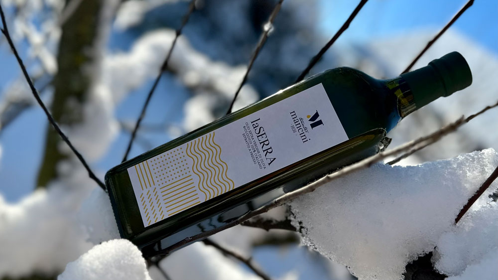 natives Olivenöl extra im Winter